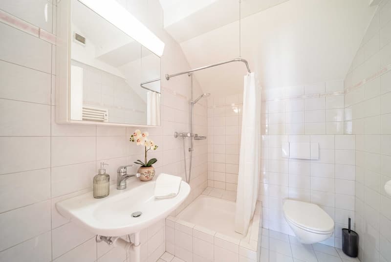 DACHWOHNUNG MIT CHARME IN BASEL-STADT (4)