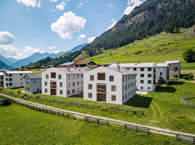 EXKLUSIVE PARZELLEN INMITTEN DER ENGADINER BERGWELT (3)
