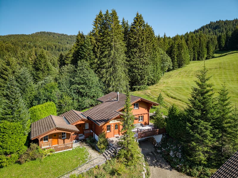 CHALETKOMPLEX AM WALDRAND AUF DER BRUNNIALP (1)