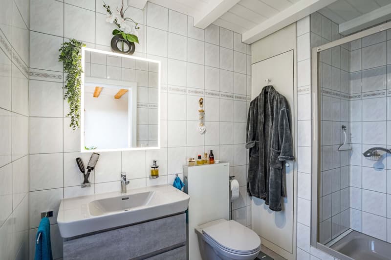 ÜBER DEN DÄCHERN VON GRENCHEN - MAISONETTE-DACHWOHNUNG MIT STADTSICHT (5)