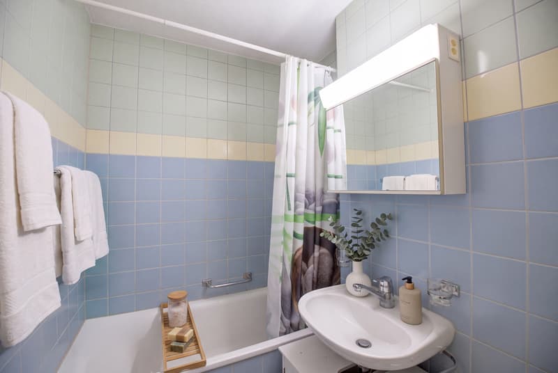 KOMPAKT WOHNEN IN SCHÖNER UMGEBUNG - 1.5 ZIMMER WOHNUNG IN ZWILLIKON (5)