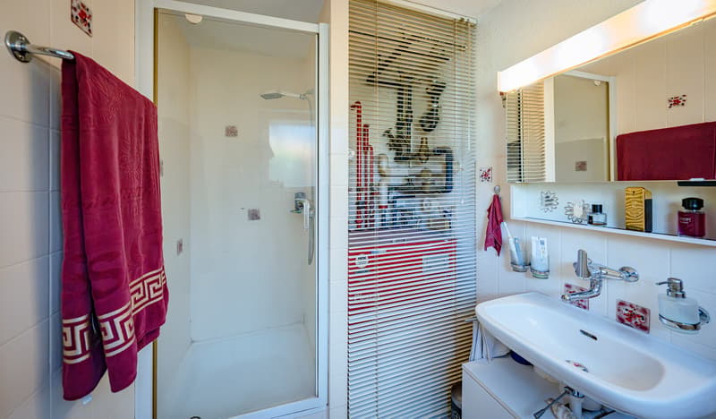 IHR ZUHAUSE ZWISCHEN SEE UND BERGEN - 4.5 ZIMMER REIHENMITTELHAUS IN SPIEZ (6)