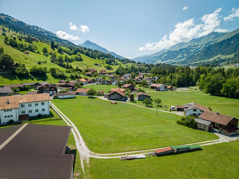 4'179 M² BAULAND MIT BERGPANORAMA IM KANDERTAL (4)