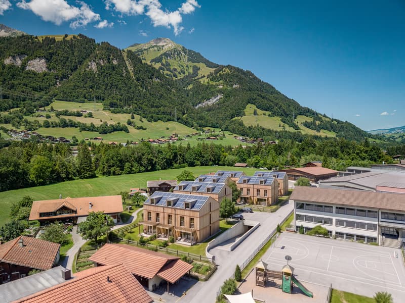 4'179 M² BAULAND MIT BERGPANORAMA IM KANDERTAL (1)