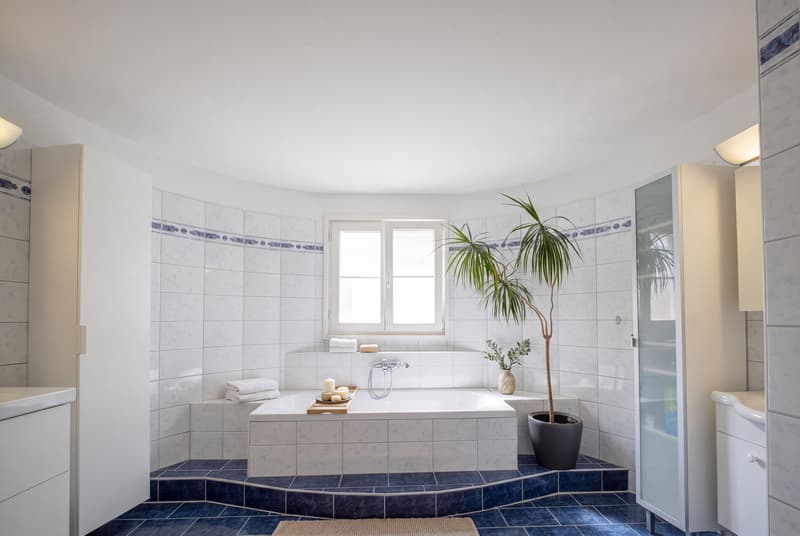 GEPFLEGTES 4.5 ZIMMER REIHENECKHAUS NEBEN DER AARE IN DÖTTINGEN (6)