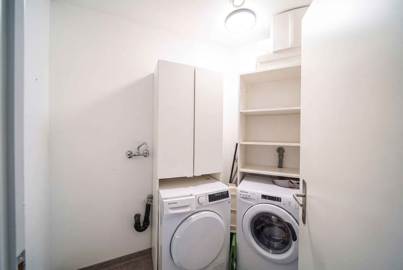 IHRE GARTENWOHNUNG 15 MINUTEN VON ZÜRICH (5)