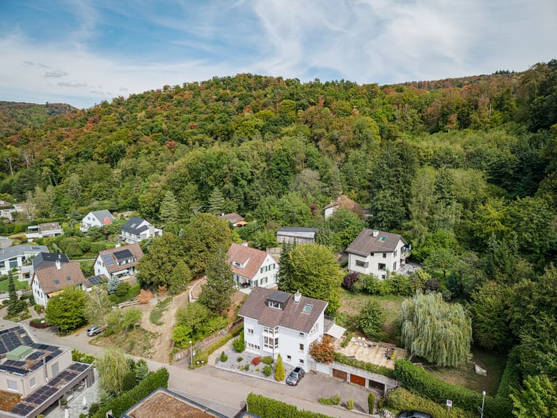 693 M² BAULAND AN BEGEHRTER HANGLAGE IN DORNACH (5)