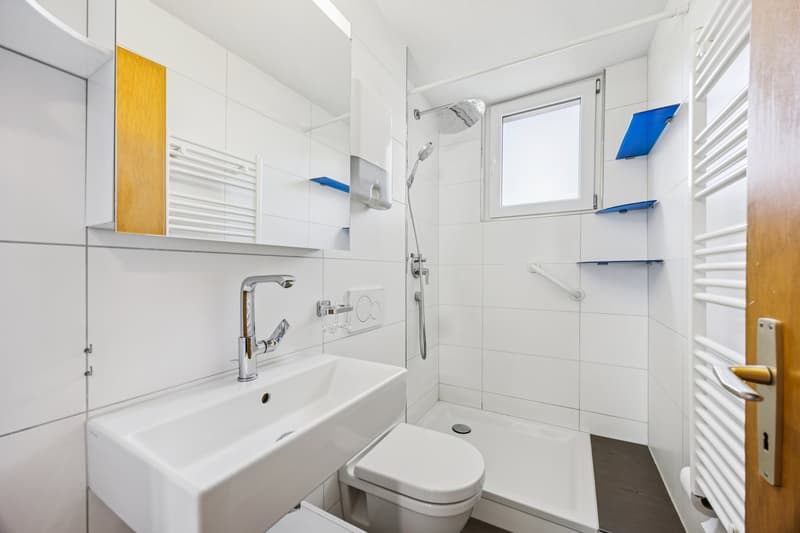 ATTRAKTIVES, PREISWERTES MEHRFAMILIENHAUS AM BODENSEE (6)