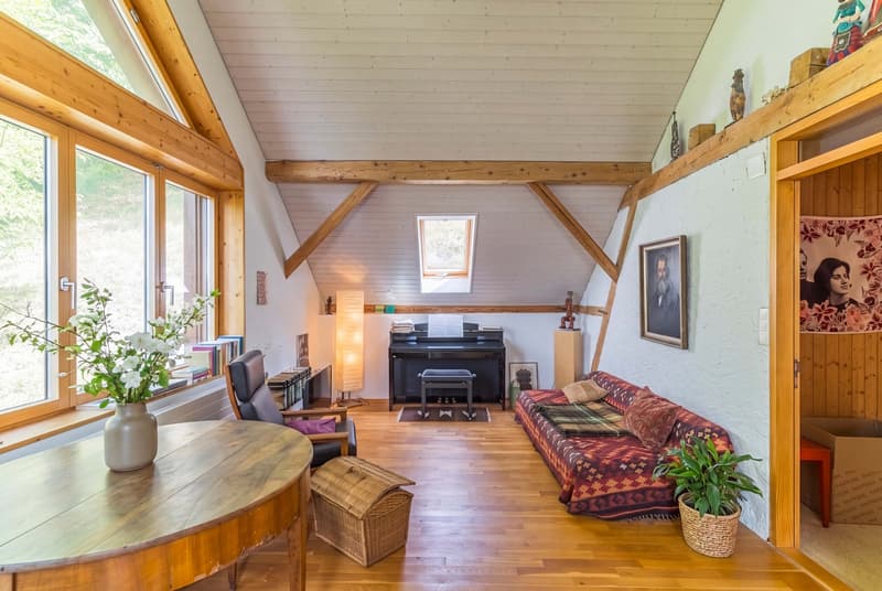 HISTORISCHER CHARME AN HANGLAGE MIT 3'471 M² GRUNDSTÜCKSFLÄCHE (5)
