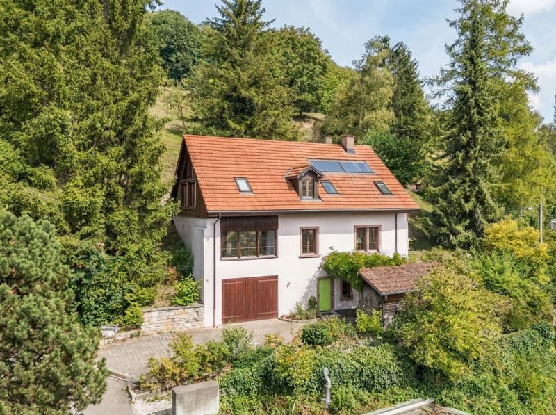 HISTORISCHER CHARME AN HANGLAGE MIT 3'471 M² GRUNDSTÜCKSFLÄCHE (1)
