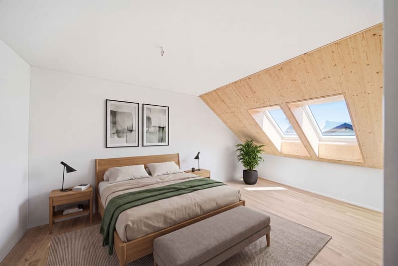 NEUBAU DACHWOHNUNG MIT ALPINEM WEITBLICK (4)