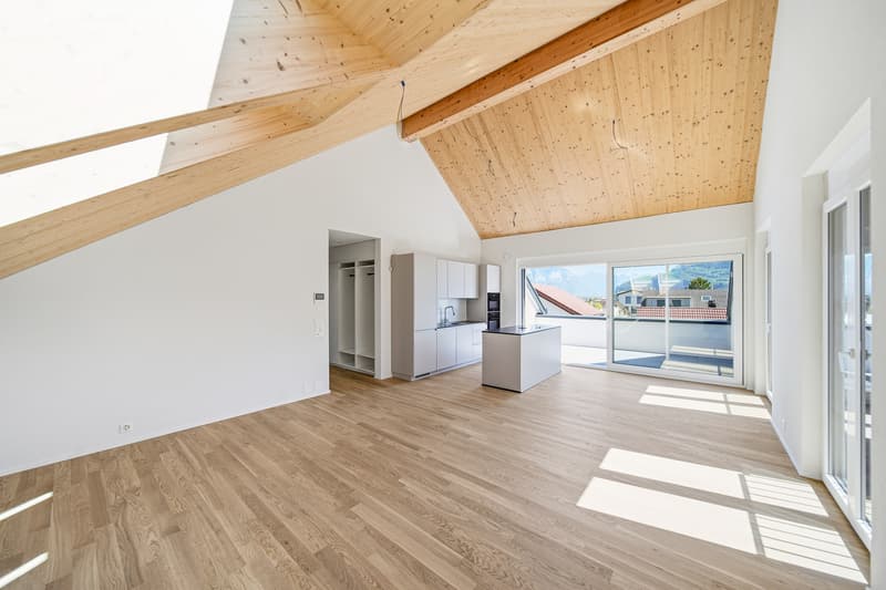 NEUBAU DACHWOHNUNG MIT ALPINEM WEITBLICK (2)