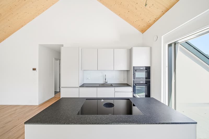 NEUBAU DACHWOHNUNG MIT ALPINEM WEITBLICK (3)