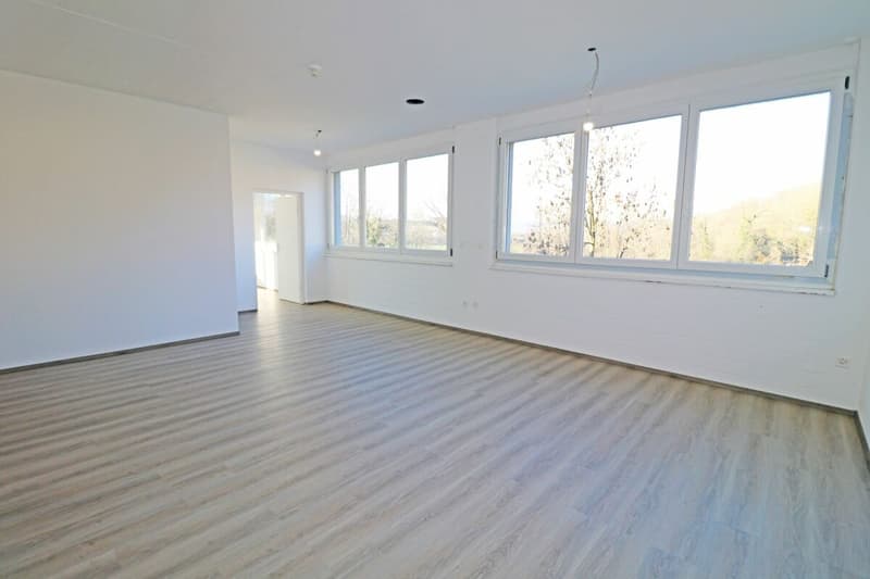 Füllinsdorf Wölferstrasse 31 (1)
