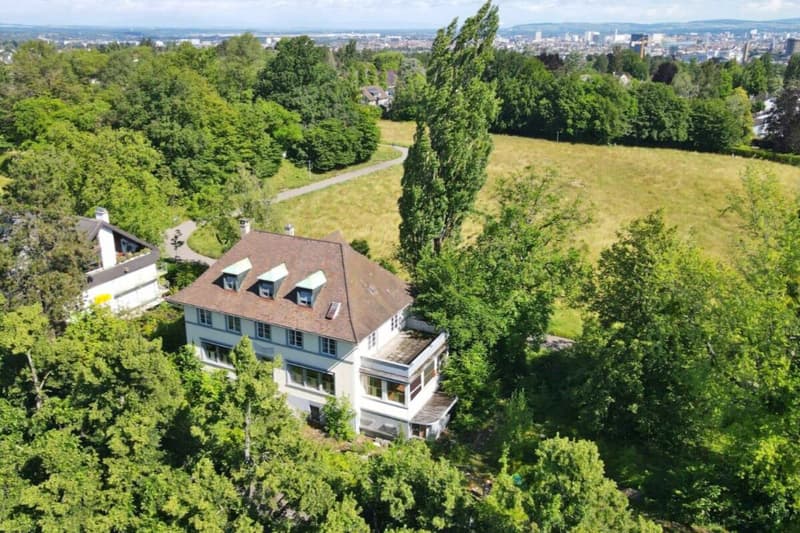 Geschichtsträchtige Liegenschaft freut sich auf einen zweiten Frühling (8)