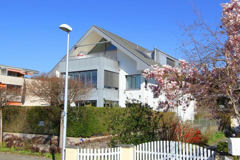 Reinach Lachenweg 14 (15)