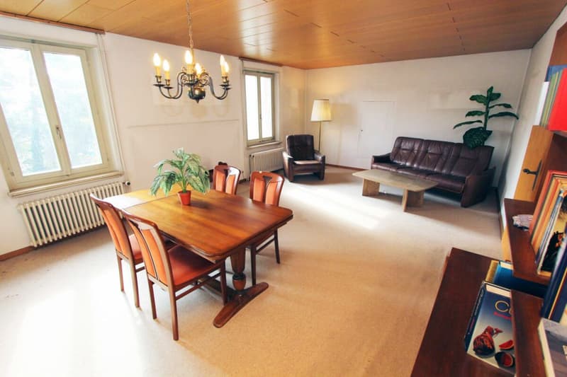 Sanierungsbedürftiges Bauernhaus mit grosser Scheune (4)