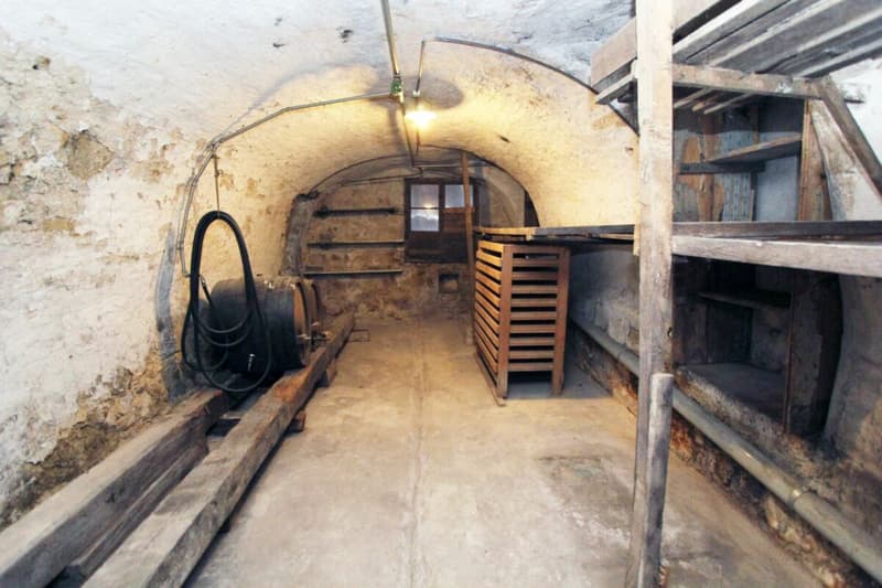 Sanierungsbedürftiges Bauernhaus mit grosser Scheune (6)