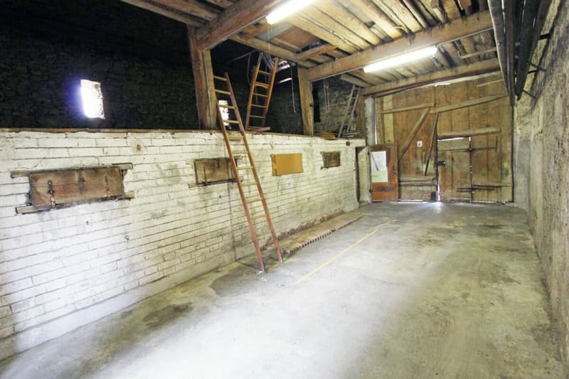 Sanierungsbedürftiges Bauernhaus mit grosser Scheune (3)