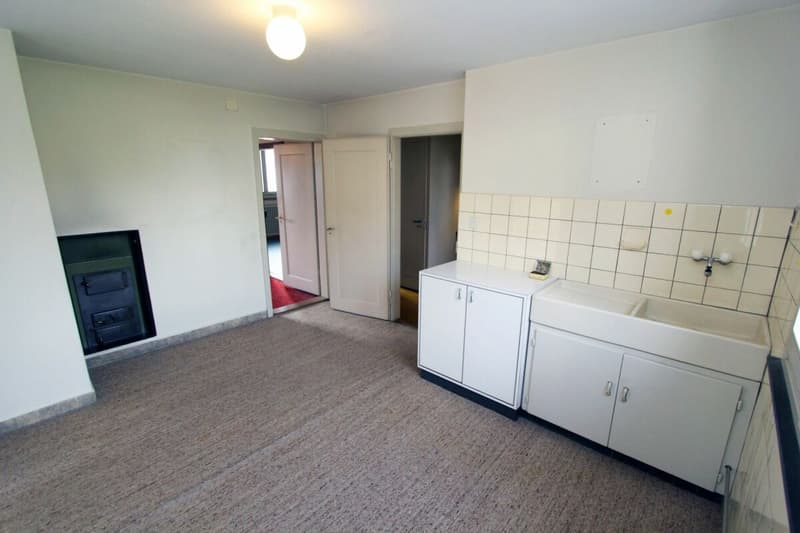 Sanierungsbedürftiges Bauernhaus mit grosser Scheune (5)