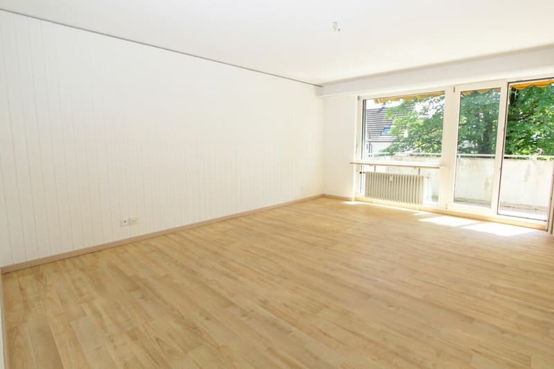 Münchenstein Schaulistrasse 4 (8)