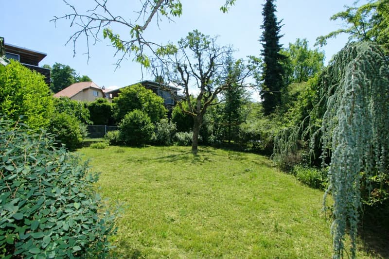 Bauparzelle (1)