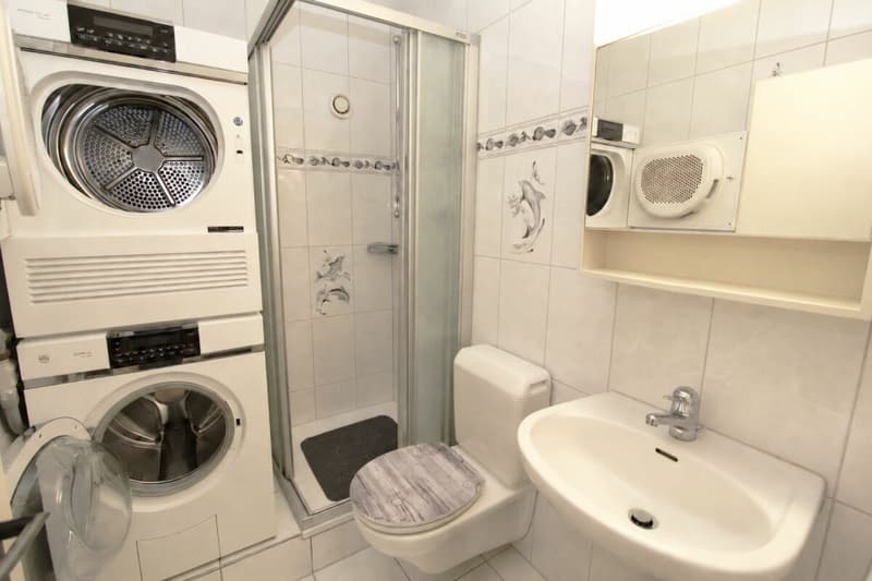 Dachwohnung der Extra-Klasse (8)