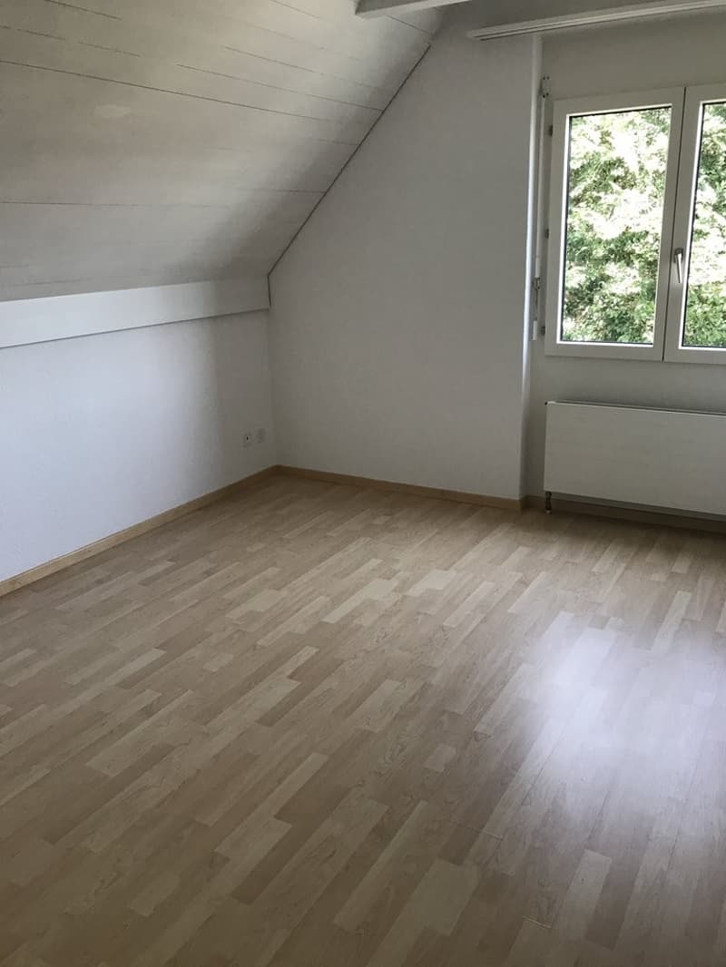 Zimmer