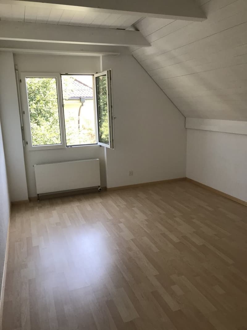 Zimmer