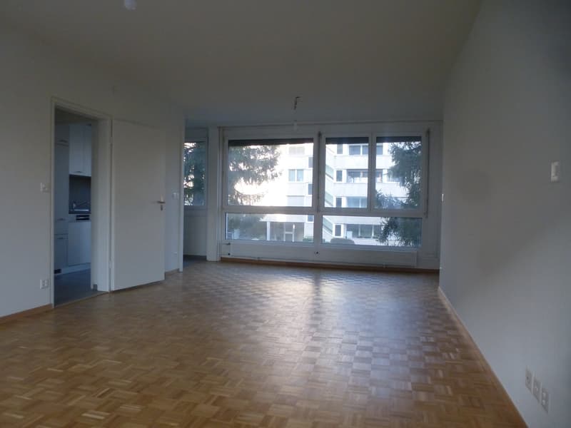 Empty room, hardwood floor, white walls, large windows, modern design, radiators.