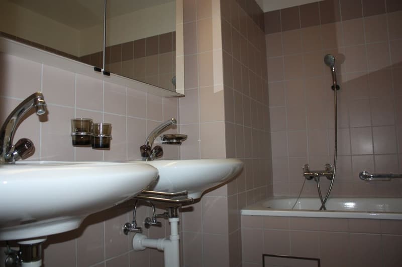 Appartamento familiare 4 1/2 locali cerca subaffittuario (7)