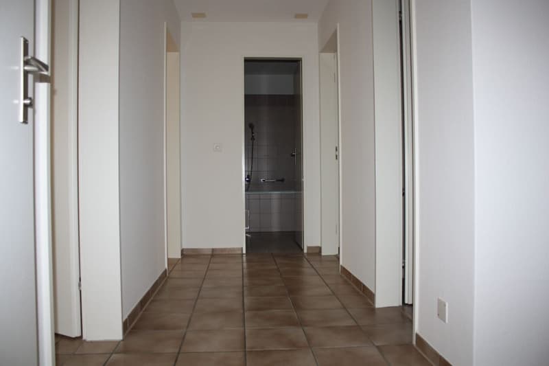 Appartamento familiare 4 1/2 locali cerca subaffittuario (2)