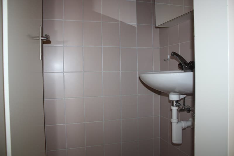 Appartamento familiare 4 1/2 locali cerca subaffittuario (8)