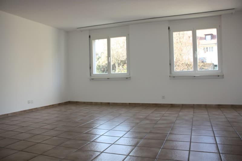 Appartamento familiare 4 1/2 locali cerca subaffittuario (9)