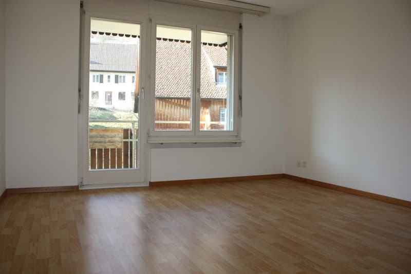 Appartamento familiare 4 1/2 locali cerca subaffittuario (10)