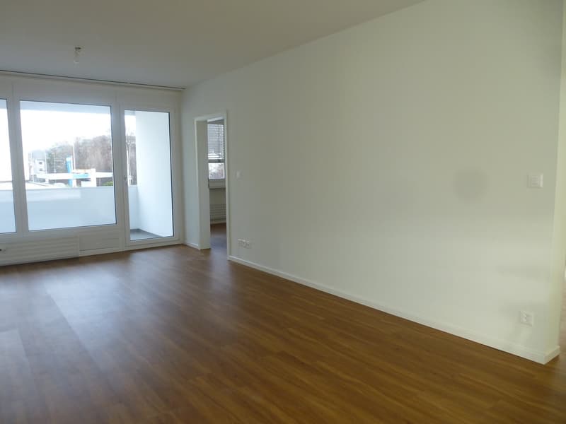 Helle grosszügige 3,5-Zimmerwohnung mit Balkon (7)