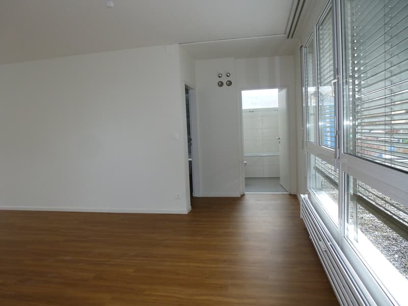 Helle grosszügige 3,5-Zimmerwohnung mit Balkon (5)