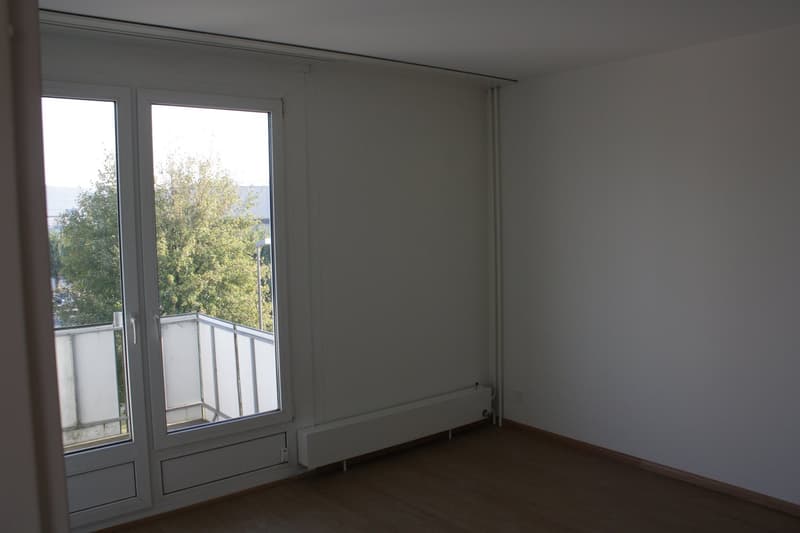 Helle 4,5 Zimmerwohnung mit Balkon sucht Nachtmieter (7)