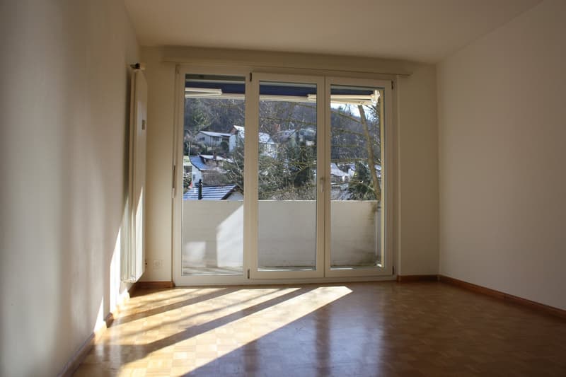 Gemütliche 3-Zimmer-Wohnung mit Balkon in Flüh (8)