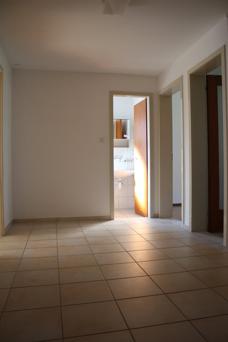 Gemütliche 3-Zimmer-Wohnung mit Balkon in Flüh (3)