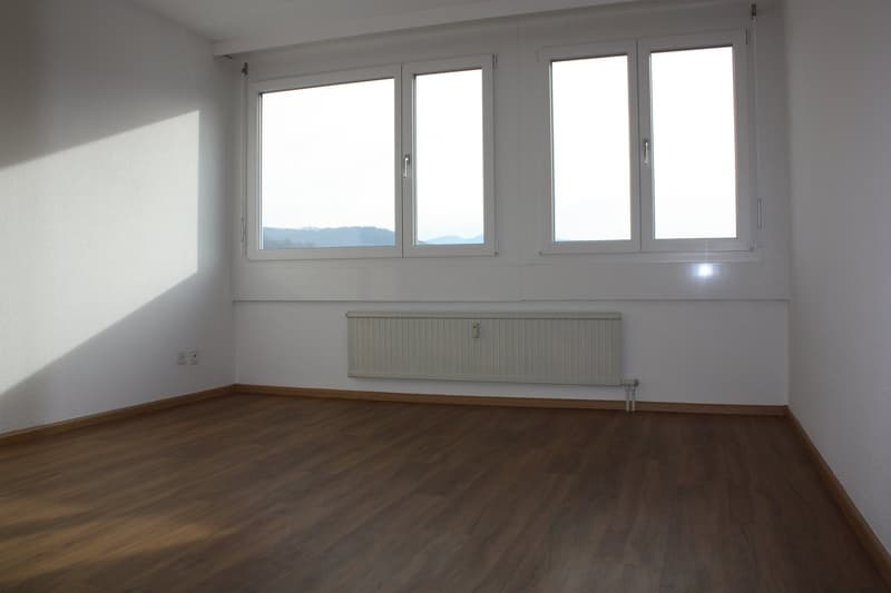 Ideale Familienwohnung zu vermieten (8)