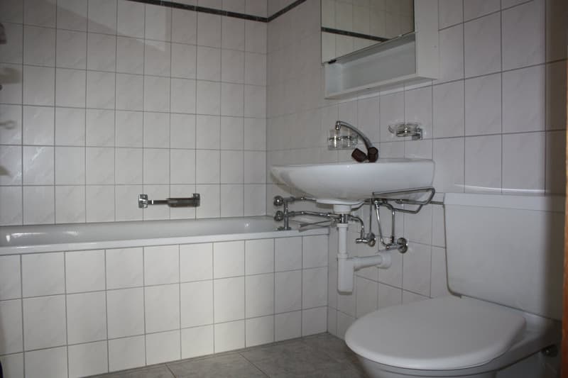Ideale Familienwohnung zu vermieten (11)