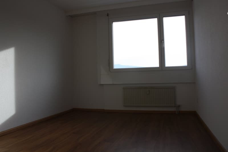 Ideale Familienwohnung zu vermieten (10)