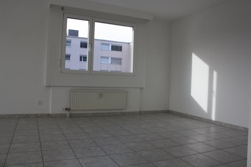 Ideale Familienwohnung zu vermieten (6)