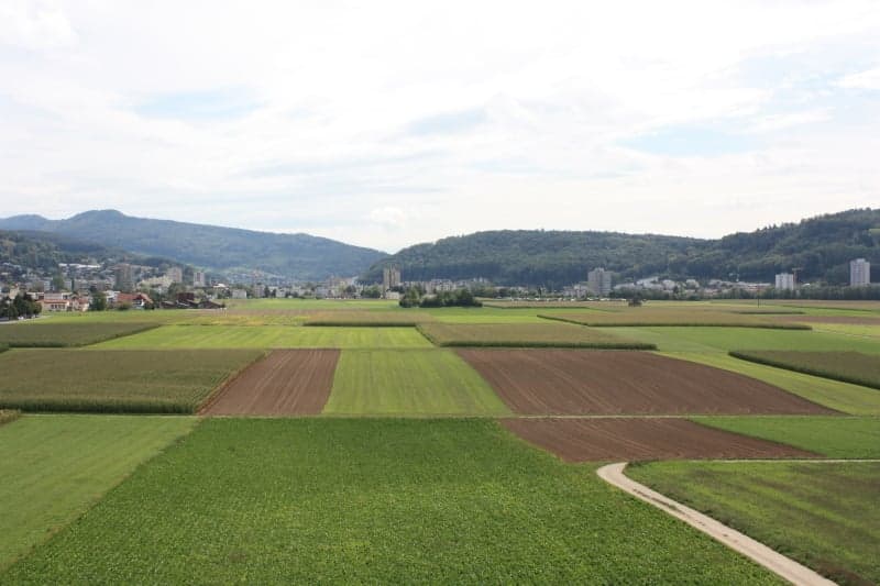 Blick aus dem Wohnzimmer