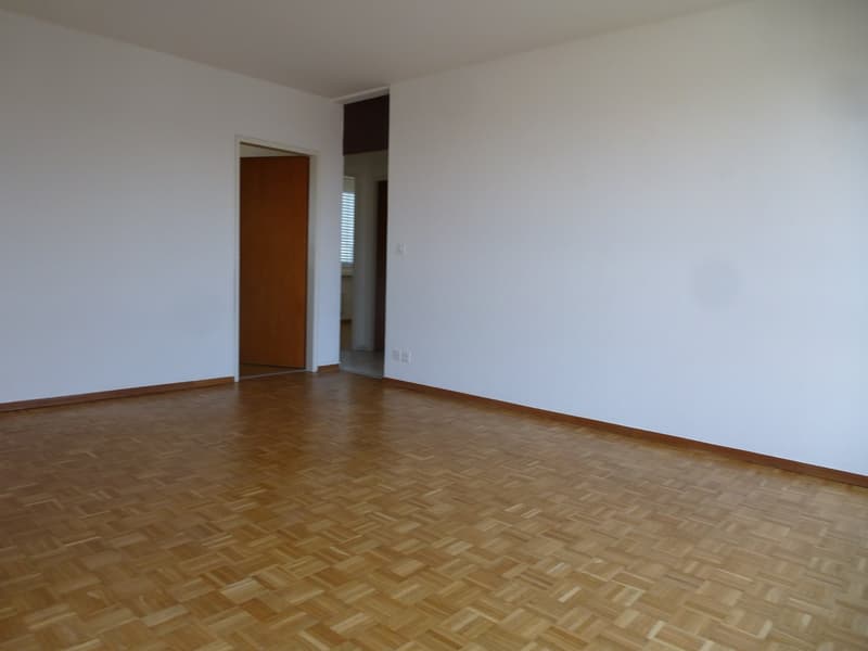 Gepflegte Wohnung in zentraler in Lage Muttenz (5)
