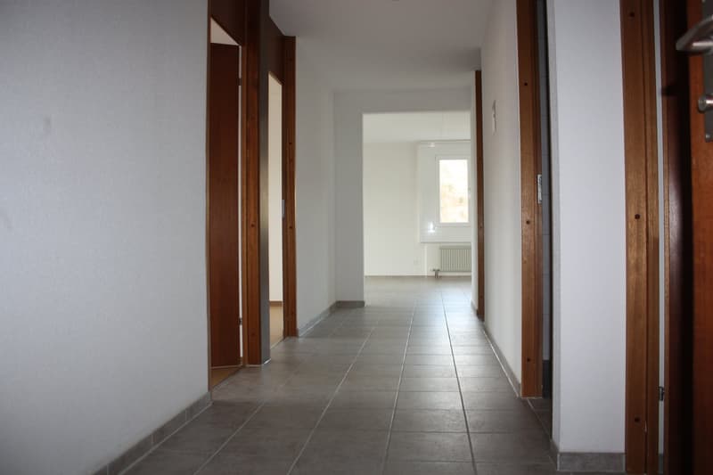 3 1/2-Zimmerwohnung (3)