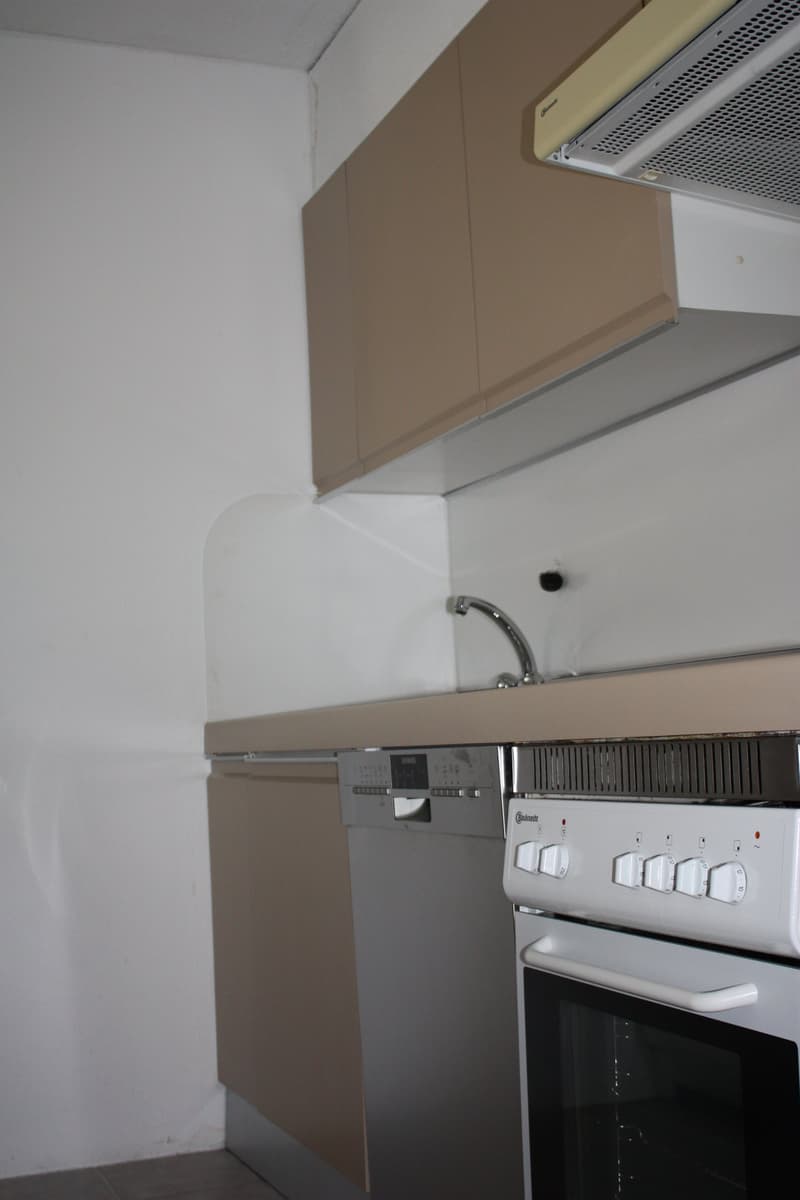 3 1/2-Zimmerwohnung (8)