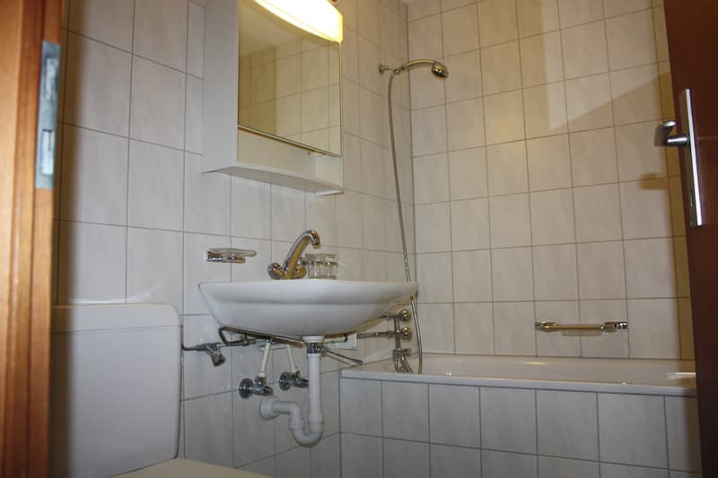 3 1/2-Zimmerwohnung (9)