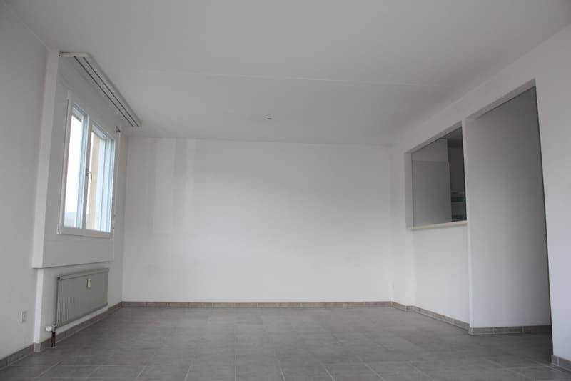 3 1/2-Zimmerwohnung (6)